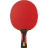 Ракетка для н/т DOUBLE FISH 7A+C, для професс.,ITTF Appr.,накл.2,1мм,+ 2 мяча V40+мм ITTF Appr за 3&nbsp;559.80 ₽ купить в Уфе