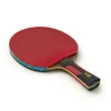Ракетка для н/т DOUBLE FISH 7A+C, для професс.,ITTF Appr.,накл.2,1мм,+ 2 мяча V40+мм ITTF Appr за 3&nbsp;559.80 ₽ купить в Уфе