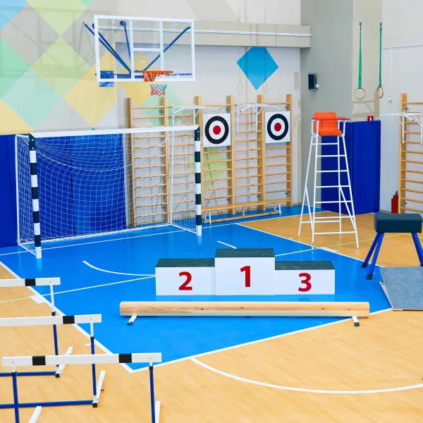 Щит для метания навесной на шведскую стенку (фанера) 700х700 ZAVODSPORTA за 8&nbsp;960 ₽ в Уфе