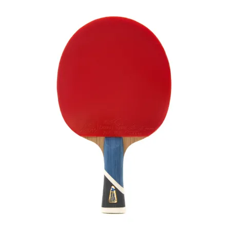 Ракетка для н/т DOUBLE FISH 5A+C, для продвин, ITTF Appr, накл. 2,1 мм, конич. ручка+ 2 мяча V40+мм за 2&nbsp;779.50 ₽ купить в Уфе
