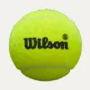 Мяч для падела Wilson Premier Padel Speed, WR8908501001, уп.3 шт, FIP Appr.,сукно, нат.резина,желтый за 1&nbsp;235.90 ₽ купить в Уфе